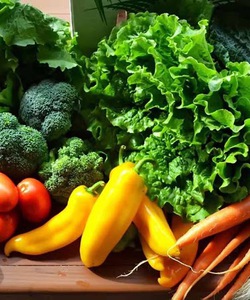 Cung cấp rau xanh giá sỉ tại Hồ Chí Minh