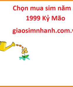 Cách để sở hữu những chiếc sim năm sinh 1999 đẹp giá rẻ nhất