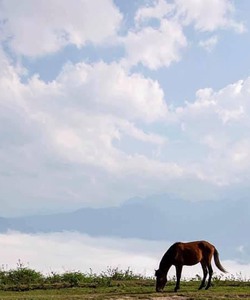 Bán lô đất rộng 1163m2 tại Mò Phú Chải,Y Tý Sapa2 . Nơi tuyết rơi đẹp nhất tại Y Tý