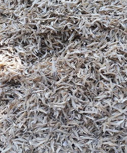 Cá Khô Nha Trang 1000gr