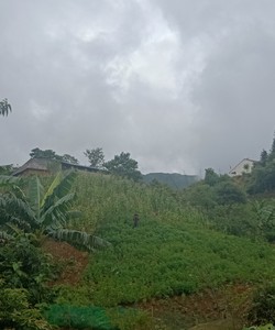 View đẹp, có suối, đầu cơ tốt tại Y Tý Sapa 2