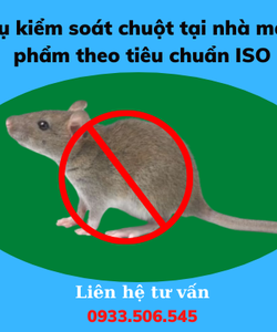 Dịch vụ kiểm soát chuột tại nhà máy thực phẩm theo tiêu chuẩn ISO