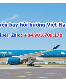 Cập nhật chuyến bay hồi hương Việt Nam mới nhất