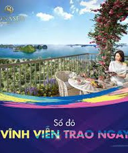 Sonase Vân Đồn Harborbay City