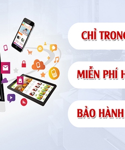 Công ty Phương Nam Vina Website, Logo, Quảng cáo Google