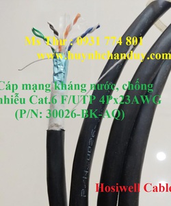 Cáp mạng chống nhiễu chống nước Hosiwell cat.6 F/UTP