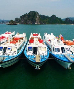Tin tức cập nhật giá vé tàu cao tốc từ Hạ Long đi Cô Tô