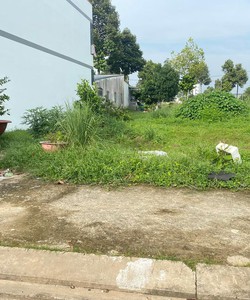 Bán gấp cặp nền thổ cư mùa dịch