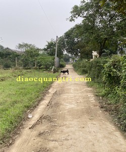 ✔ Lô đất nền cổ thành triệu phong 5xx