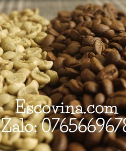 Bán cà phê hạt tại Tây Ninh giá sỉ, giá bán buôn liên tục 1 năm không đổi giá