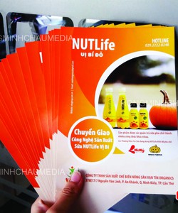 In tờ rơi bao thư danh thiếp