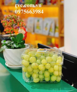 Mẫu hộp nhựa trái cây 1kg P1000B giá sỉ tại Sài Gòn