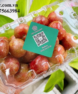 Nhà cung cấp hộp nhựa đựng mận giá sỉ tại Hồ Chí Minh