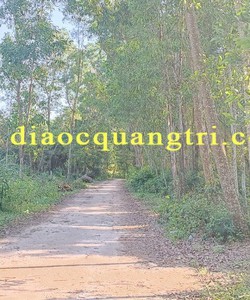 DDaasts đầu tư tại thanh an cam lộ giá rẻ không ngập lụt