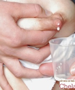 TOP 5 loại sữa giàu DHA cho trẻ sơ sinh được tin dùng nhất hiện nay