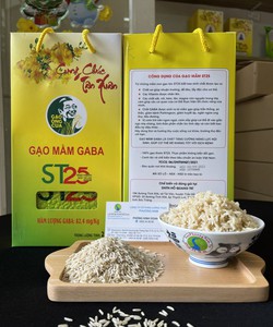 Công dụng của gạo mầm Gaba ST25