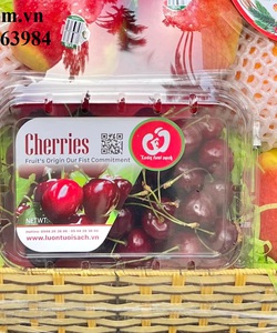 Mua hộp nhựa trái cây P500C giá rẻ tại Tân Bình