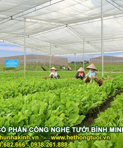 Lưới chắn côn trùng politiv israel, lưới israel 50mesh, giá lưới Politiv Israel