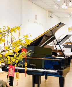 Những đặc điểm của một showroom piano uy tín Đức Trí Music