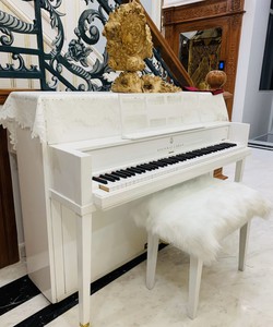 Sửa đàn Piano uy tín Đức Trí Music