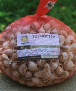 Sản xuất túi lưới đựng nông sản, trái cây giá sỉ lẻ