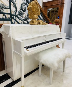 Dịch vụ cho thuê đàn piano tập theo giờ Đức Trí Music