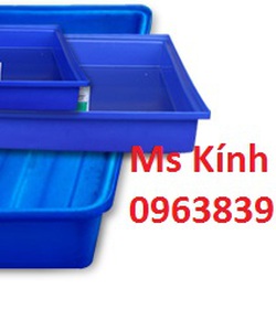 Thùng nhựa chữ nhật 1000l nuôi cá giá rẻ toàn quốc lh 096 3839 597 Ms Kính