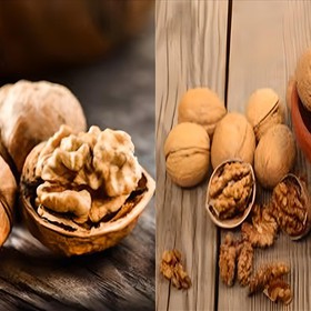 hạt occs chó mua sắm online 