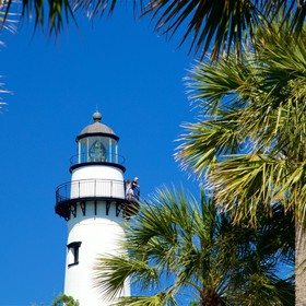 tour du lịch mua sắm online 