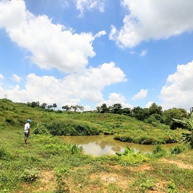  mua sắm online 