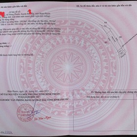 GOLDEN mua sắm online 