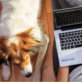 Thiết kế Logo  mua sắm online 