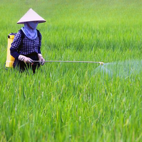  mua sắm online 