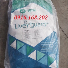LIVERGUARD mua sắm online 
