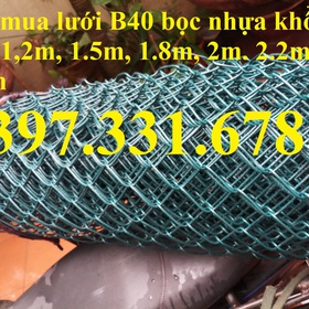 Lưới B40 bọc nhựa mua sắm online 