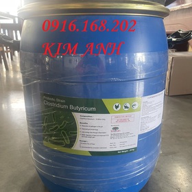 clostridium Butyricum  mua sắm online 