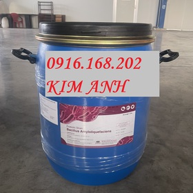 Bacillus Amyloliquefaciens siêu lợi khuẩn trong thuỷ sản mua sắm online 