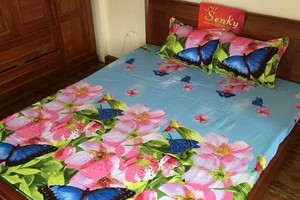 Drap cotton xoa nhung