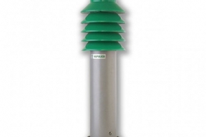 đèn sân vườn cây thông