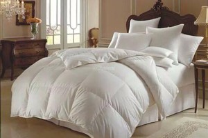 Ruột chăn ga gối 