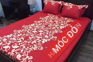 Cotton Thắng Lợi