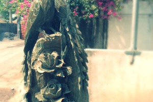 Chim trĩ gỗ lục đàn xanh như ngọc