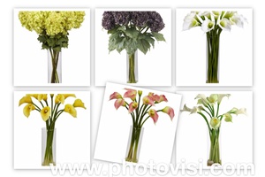 Lọ Hoa Thủy Tinh hình ống