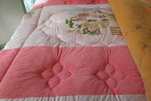 Chăn cừu - Lạc đà