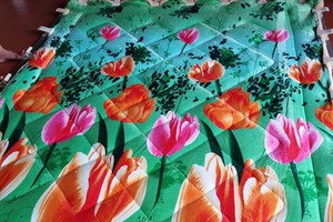 Chăn cừu Việt Nam