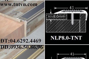 Nẹp chống trơn cầu thang TL30- NLP8.0 | Nẹp Nẹp trang trí TNT