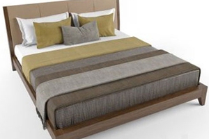 Giường ngủ hiện đại - GN001