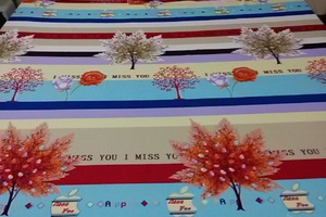 Bộ ga gối cotton nhung