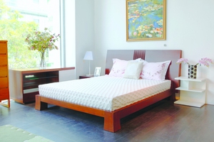 Nệm cao su khoa học TiTan ( 1m8 x 2m0 x 90mm )