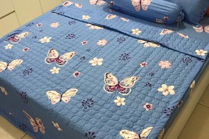 set trần boong poly